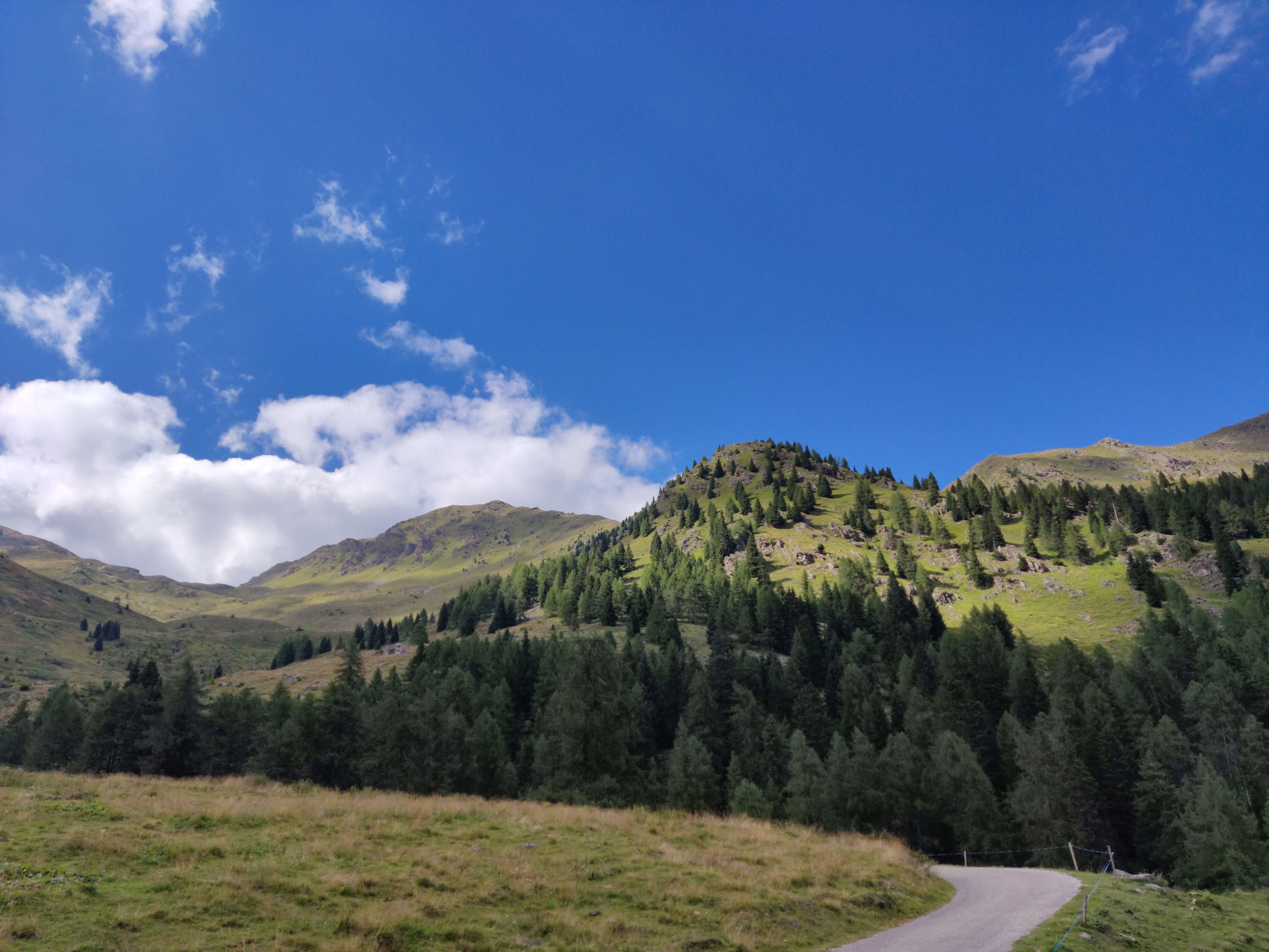 Green Trees on Mountains under the Blue Sky · Free Stock Photo