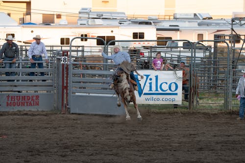 Photo of a Cowboy Man Riding a Wild Horse on an Arena