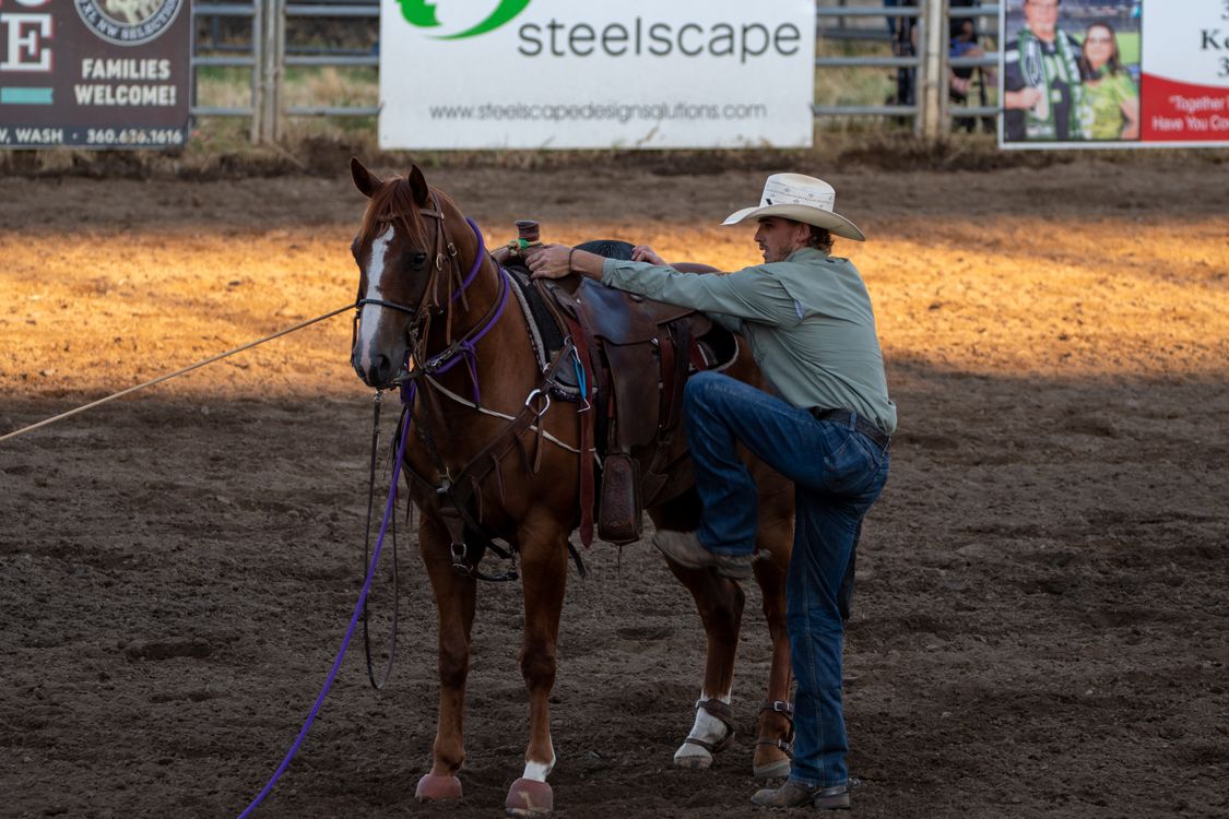 Cowboy Riding a Horse · Free Stock Photo
