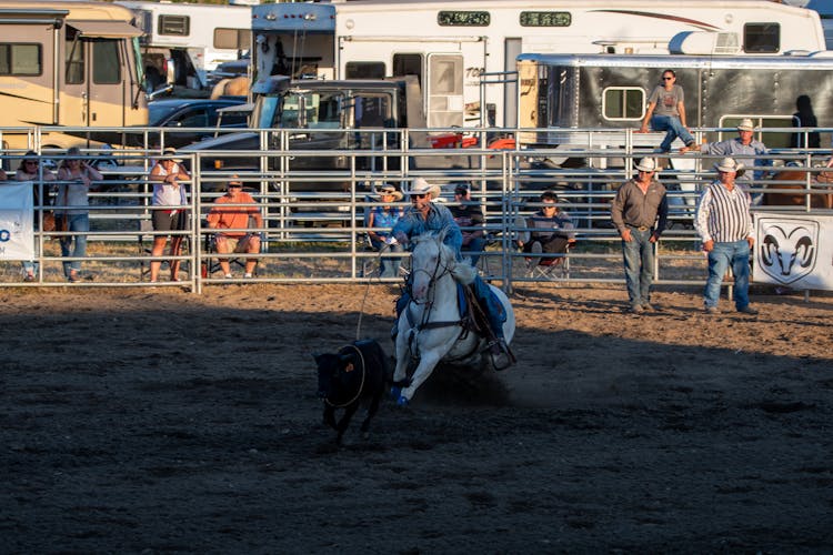 Men On A Rodeo Event 