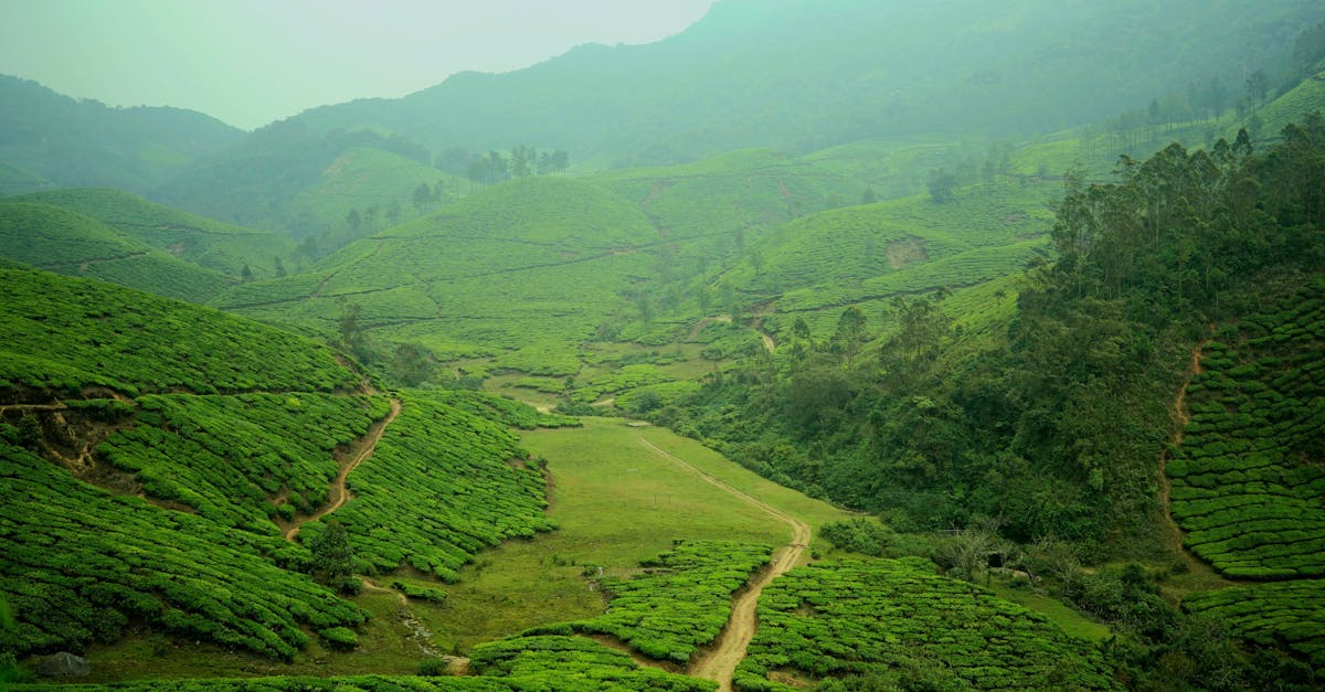 Munnar