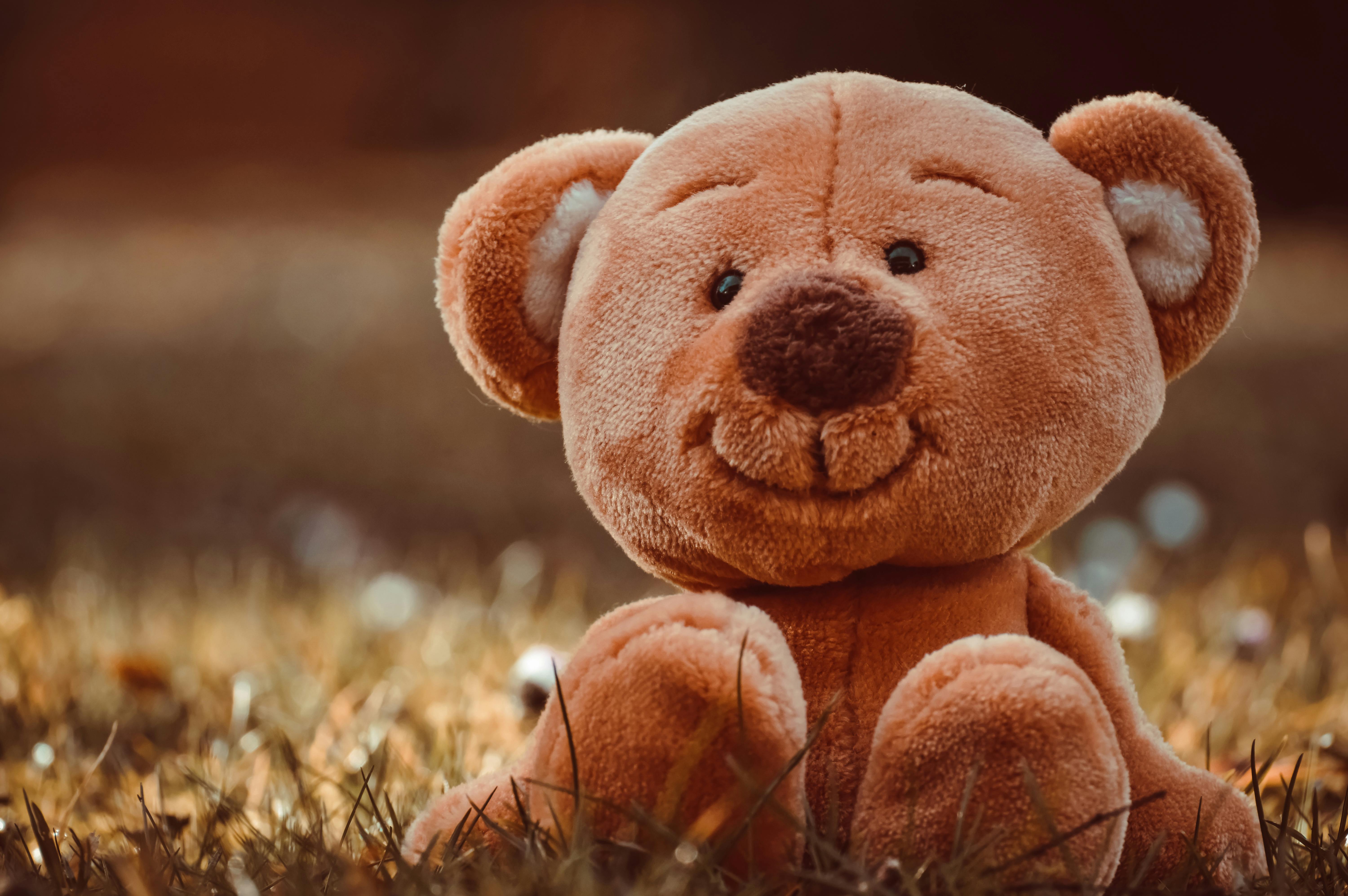 Sweet Pink Teddy Bear | Soft Toys