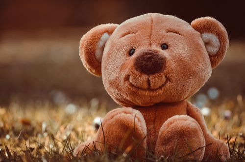 Free A close-up of a cute plush teddy bear sitting on grass in a warm outdoor setting. Stock Photo
