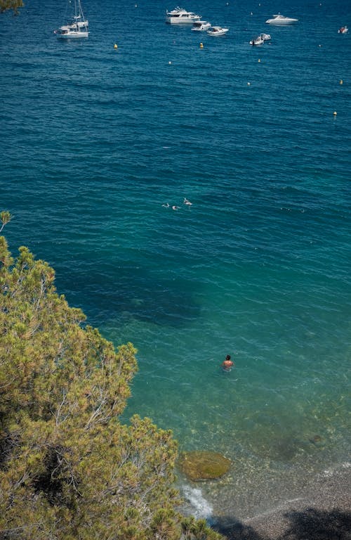 Imagine de stoc gratuită din coastă, faleză, fotografie de la înălțime