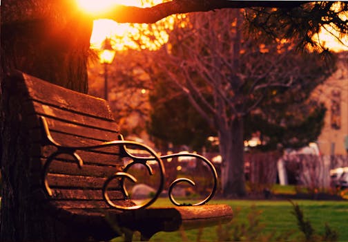 Serene park scene with wooden bench and glowing sunset through trees.
