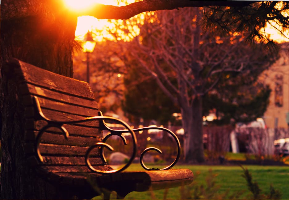 Brown Wooden Bench on Sunset