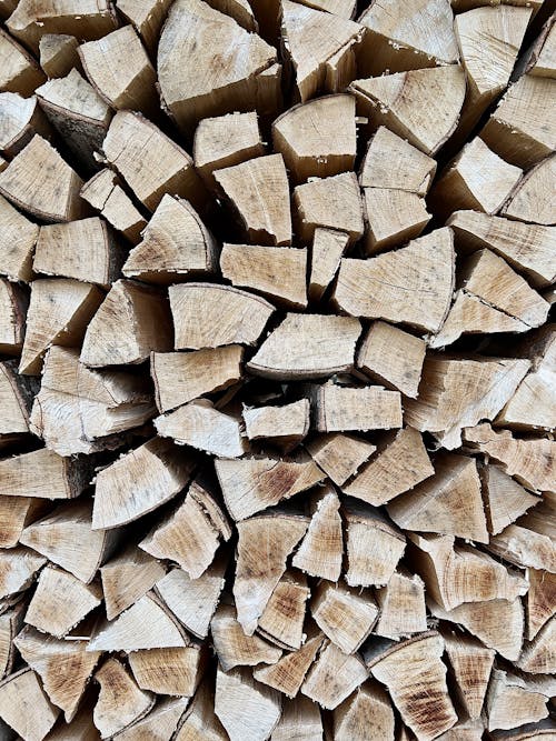 Brown Wooden Log Lot in Close Up Photography