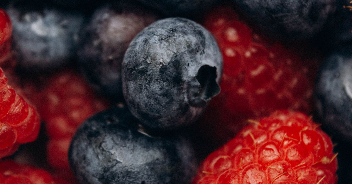 Berry Photo Close-up of Fresh Berries · Free Stock Photo