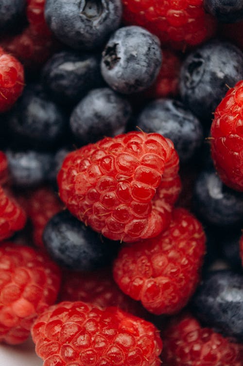 Free Berries in Close-up Shot Stock Photo