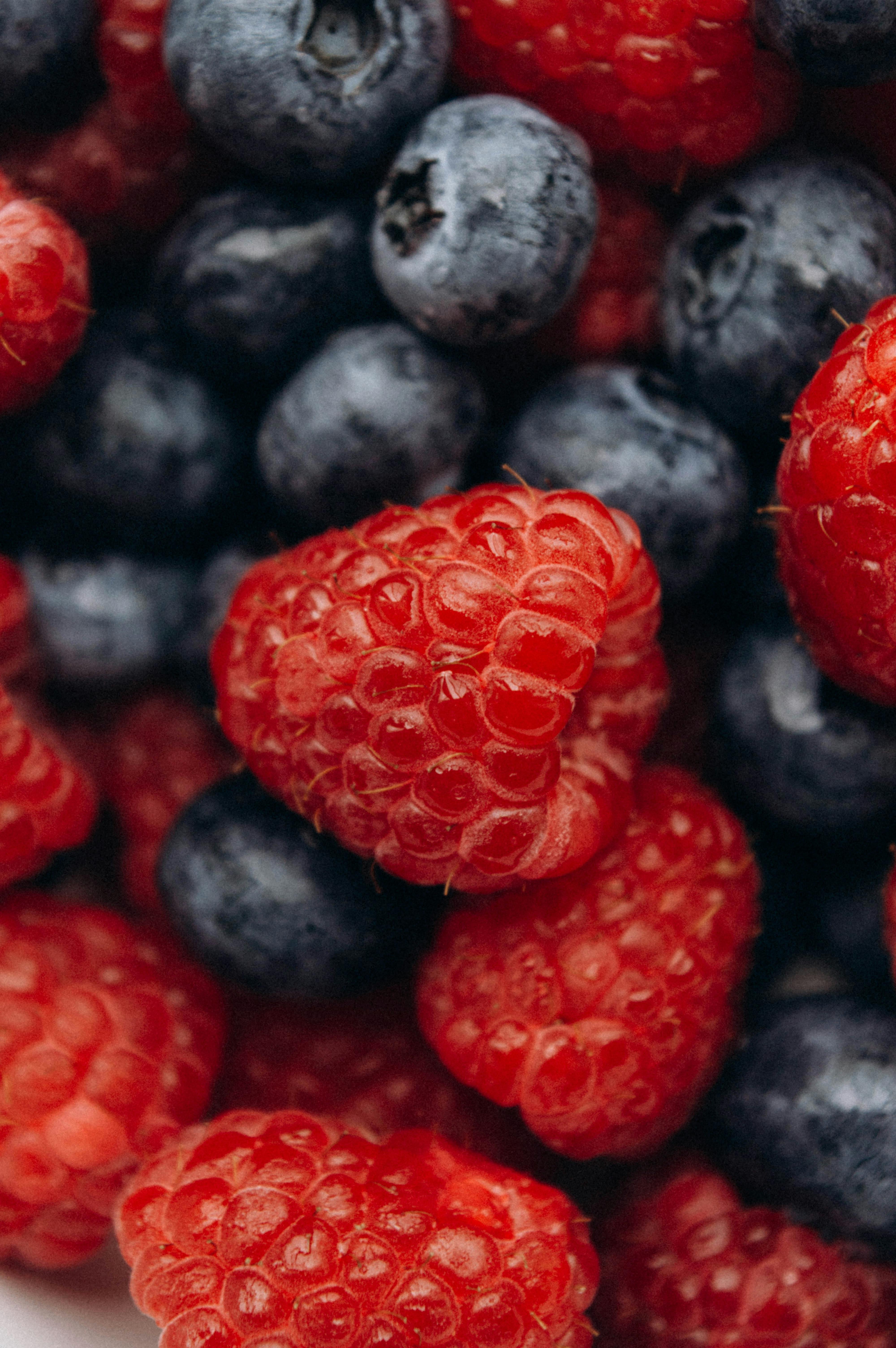 Raspberries · Free Stock Photo