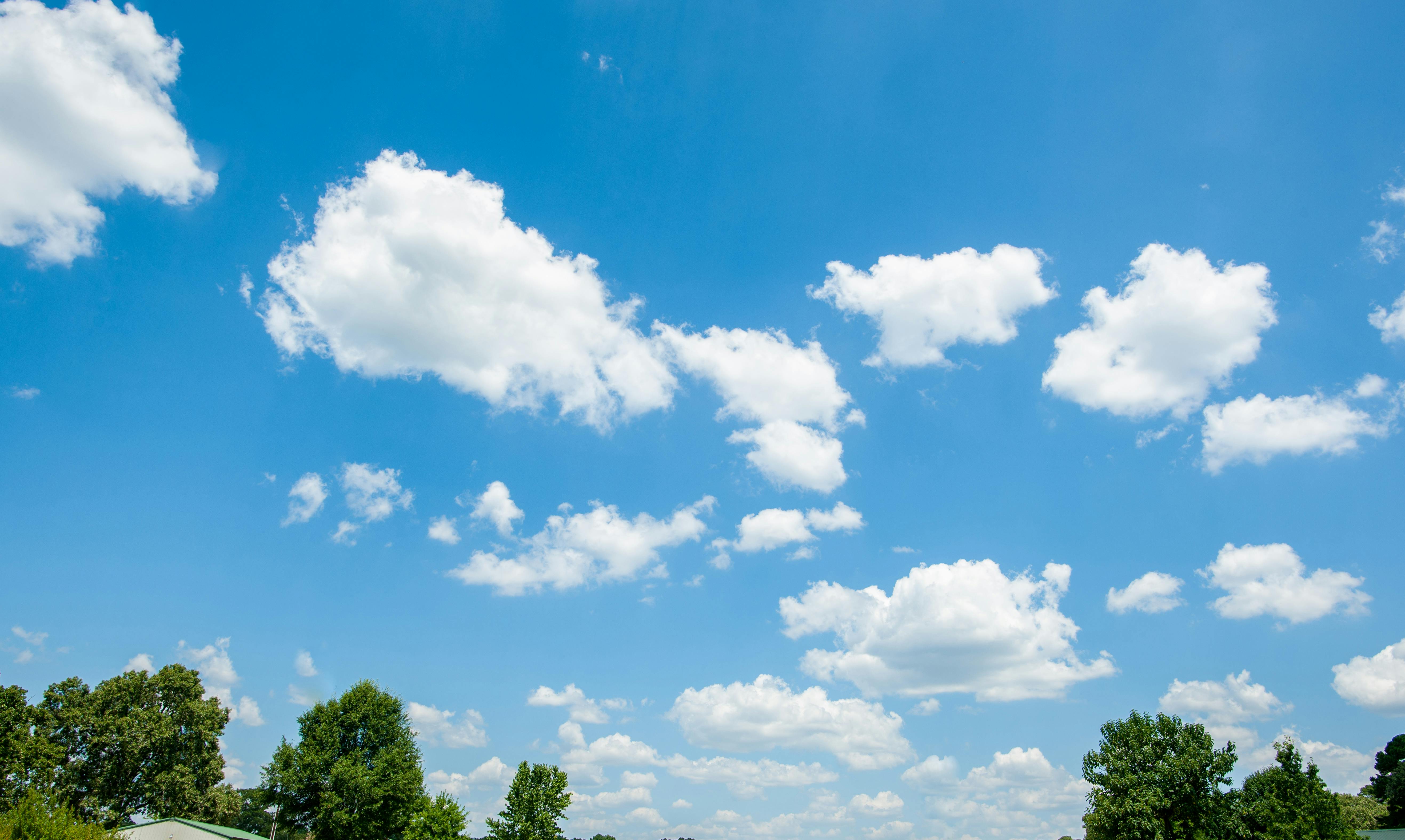 pexels-photo-1304629.jpeg?auto=compressu0026cs=tinysrgbu0026dpr=1u0026w=500