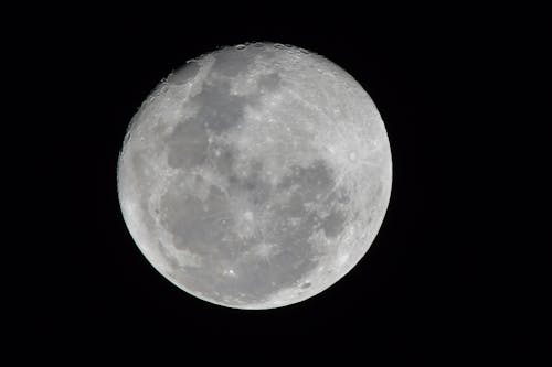 Free stock photo of moon