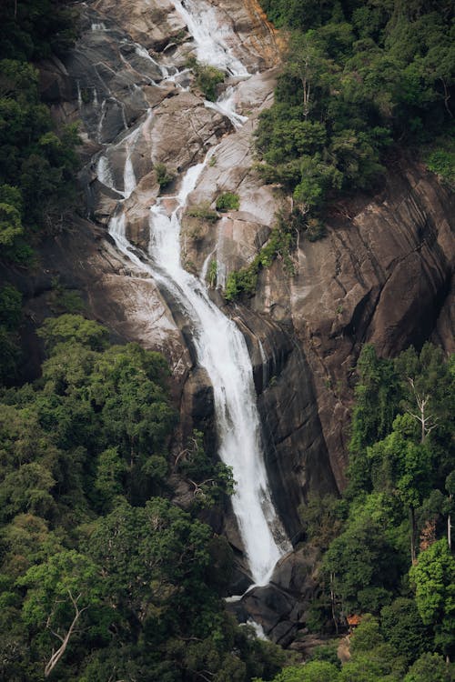 Kostenloses Stock Foto zu felsen, fließendes wasser, grüne bäume