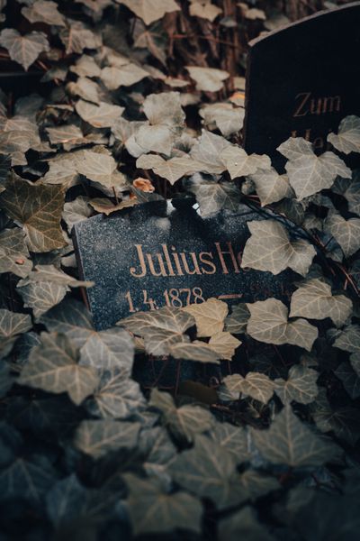 Erinnerungsstein Friedhof