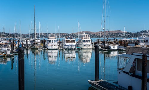 White Boats on Blue Water in a Harbor