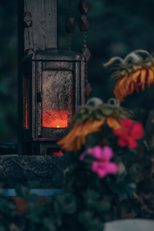 Free A rustic lantern glowing softly surrounded by vibrant flowers in a cemetery setting. Moody and atmospheric close-up. Stock Photo