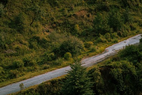 Free Aerial shot of a serene country road surrounded by lush greenery in Mexico. Stock Photo