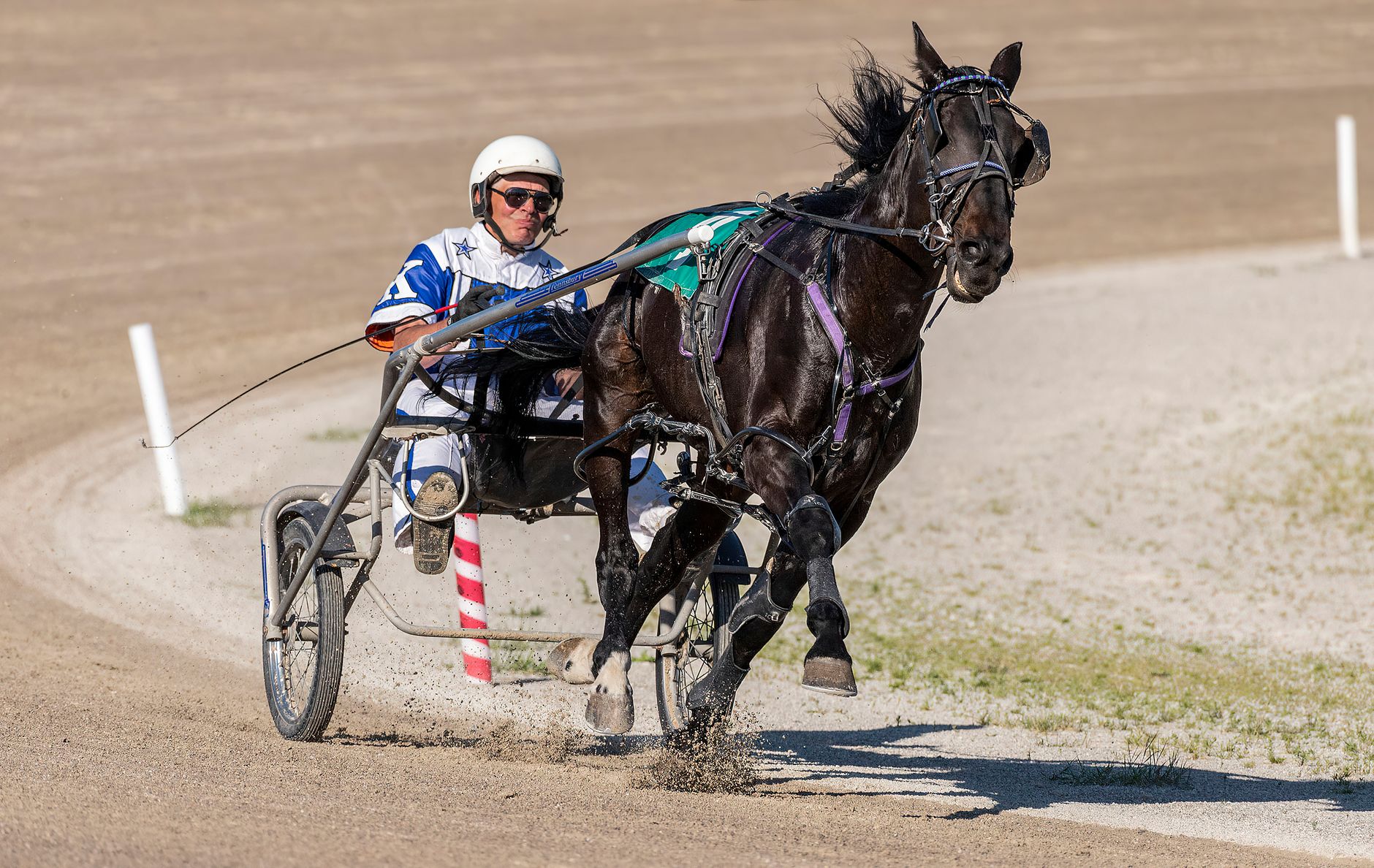 Exciting harness racing action with jockey and horse in full stride.