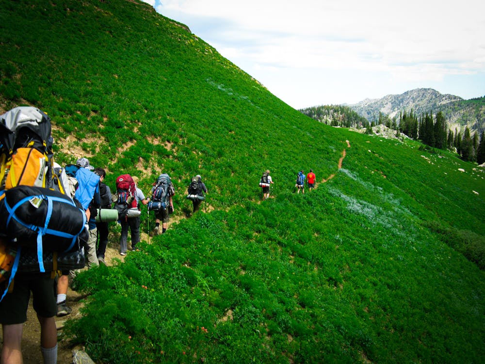 Photo of People Hiking