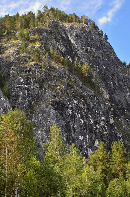 Free Vertical shot of a rocky mountain with lush green trees under a clear blue sky. Stock Photo