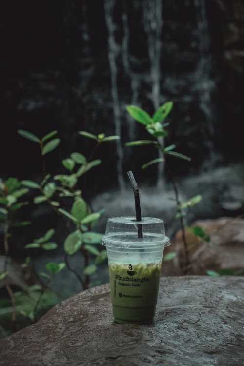 Free Close-up of a matcha drink in a plastic cup set against a lush forest background. Stock Photo