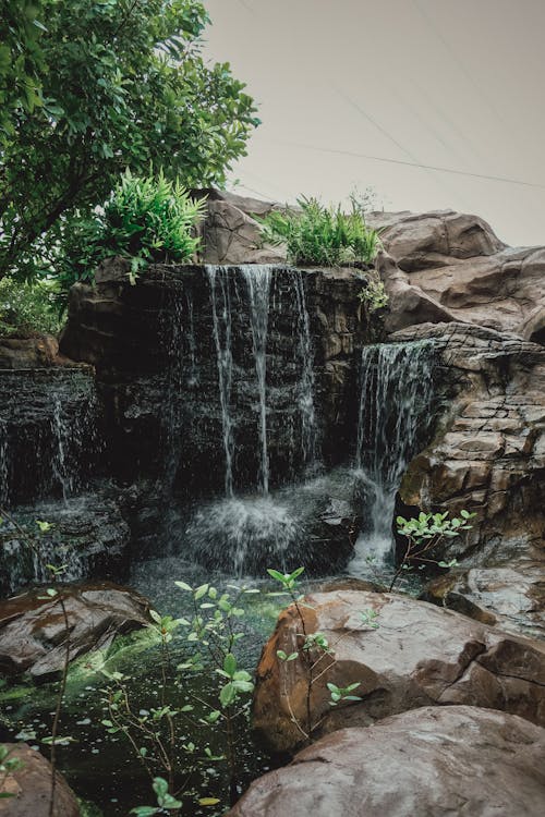 grátis Foto profissional grátis de água corrente, árvores, cachoeiras Foto profissional
