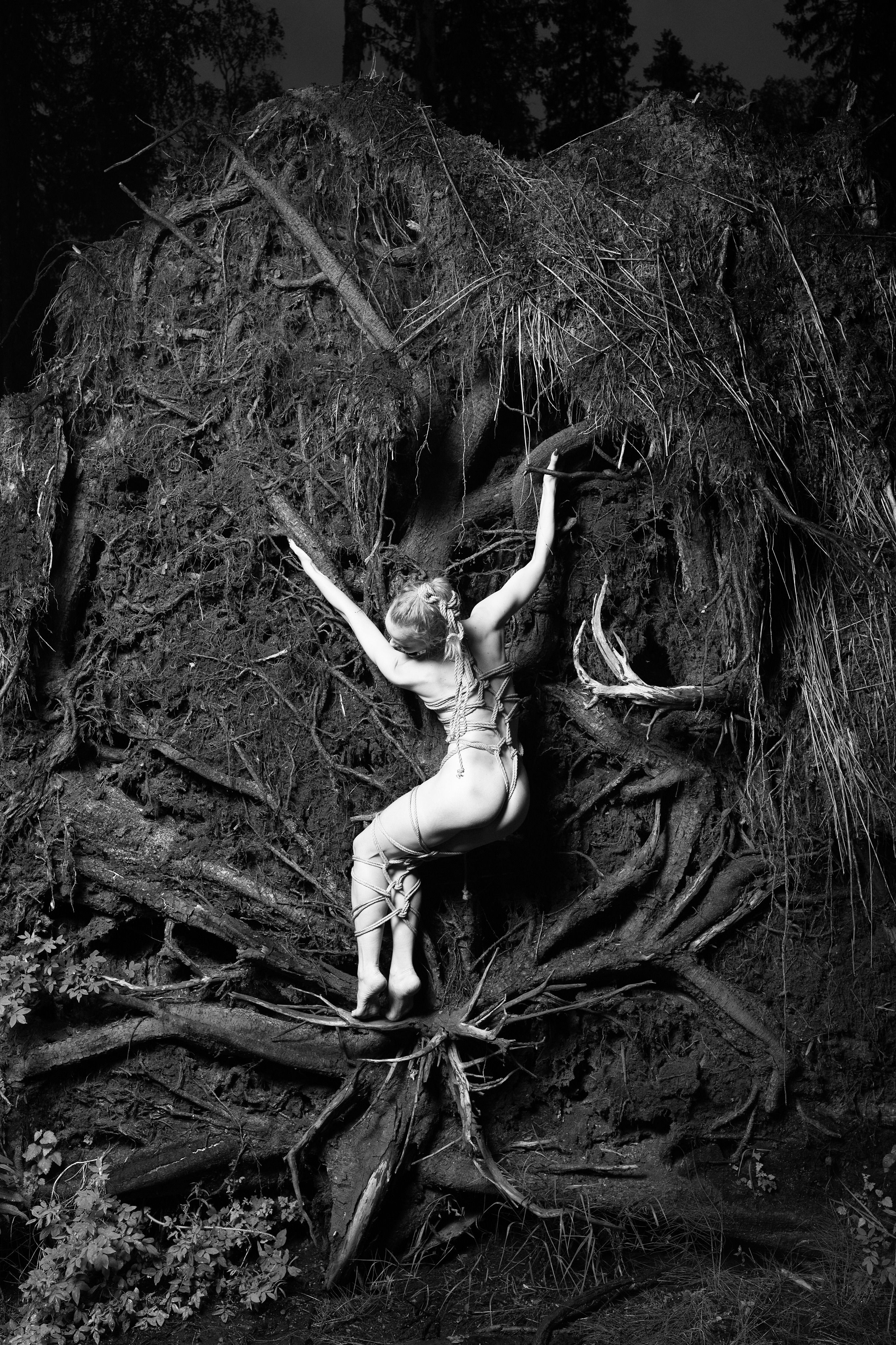 Hanging Roots Photos, Download The BEST Free Hanging Roots Stock Photos ...