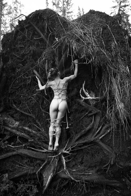 Bezpłatne Darmowe zdjęcie z galerii z czarno-biały, drzewo, kobieta Zdjęcie z galerii