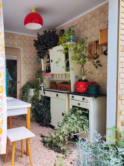 Free Charming vintage kitchen filled with lush houseplants and vibrant decor. Stock Photo
