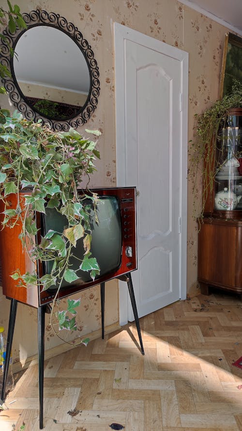 Darmowe zdjęcie z galerii z antyczny, dekoracja, drzwi