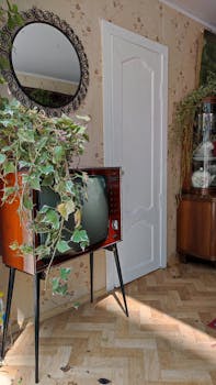 Cozy vintage interior featuring an antique TV, indoor plants, and elegant decor.