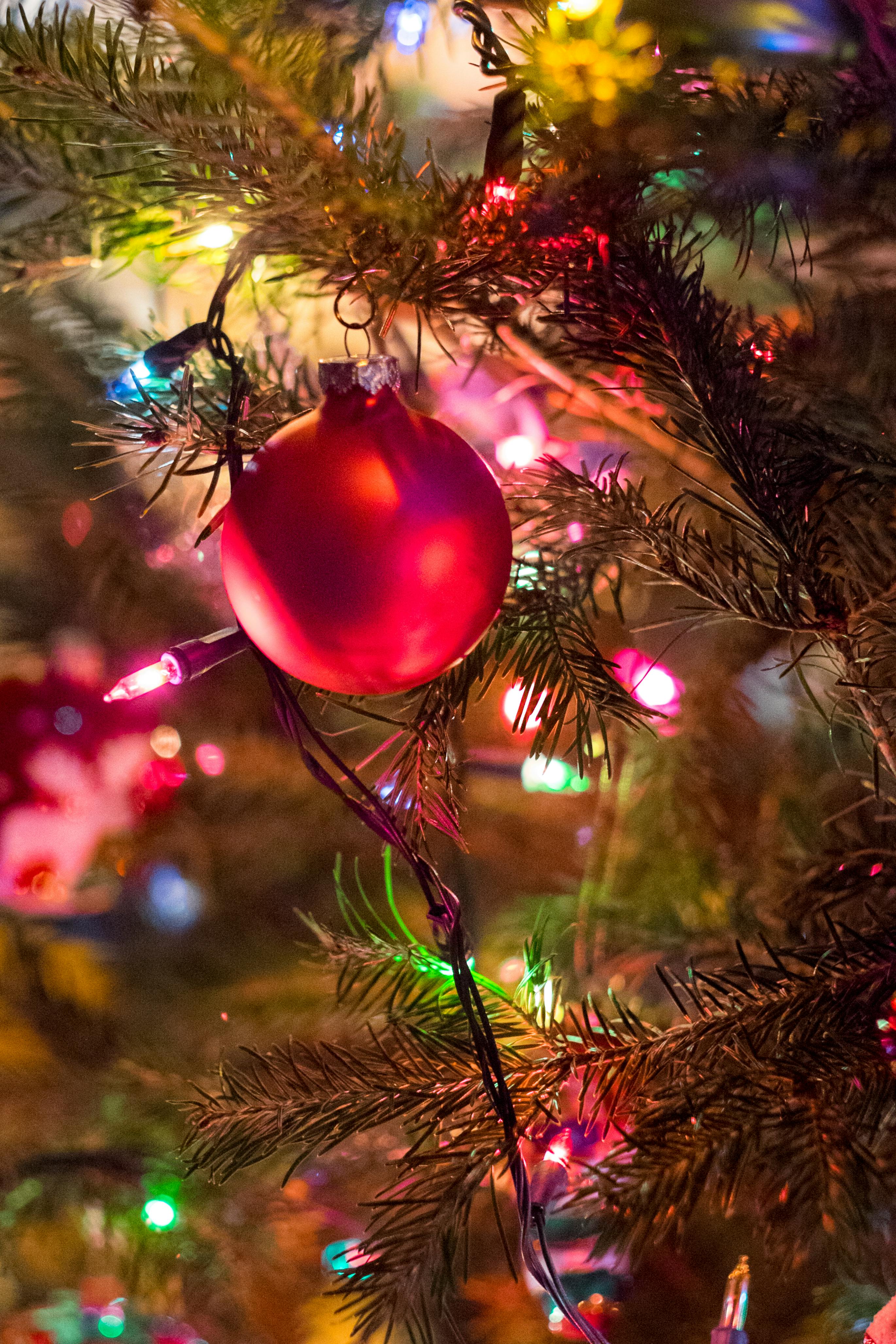 クリスマスツリー クリスマスの灯り クリスマスの飾りの無料の写真素材 クリスマスツリー クリスマスの灯り クリスマスの飾りの無料の写真素材