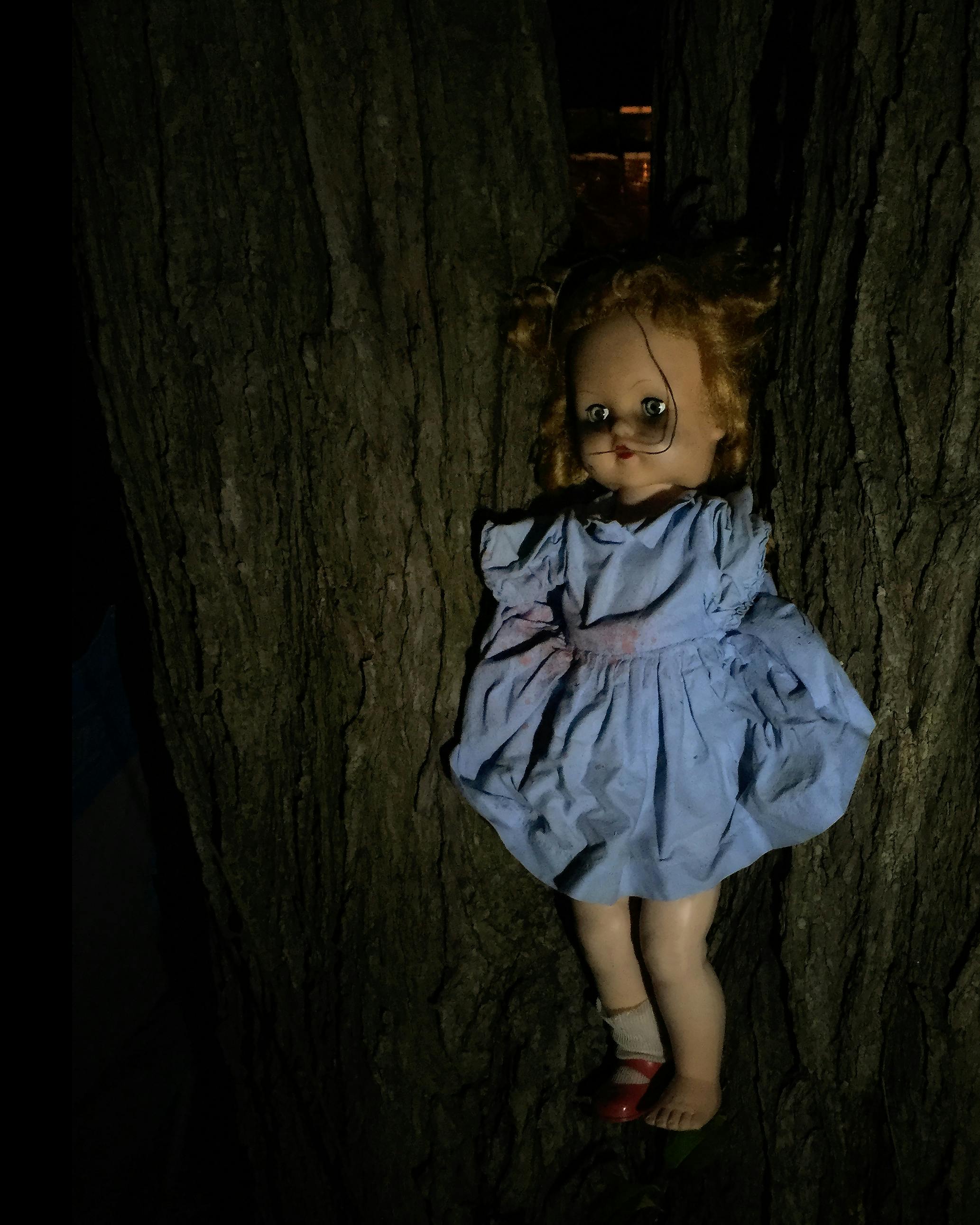 Free stock photo of antique doll, creepy, creepy doll