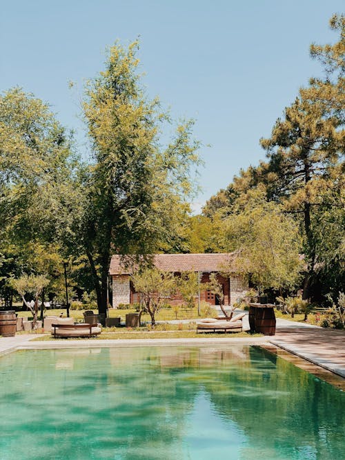 A Swimming Pool Near Trees and a Brown House