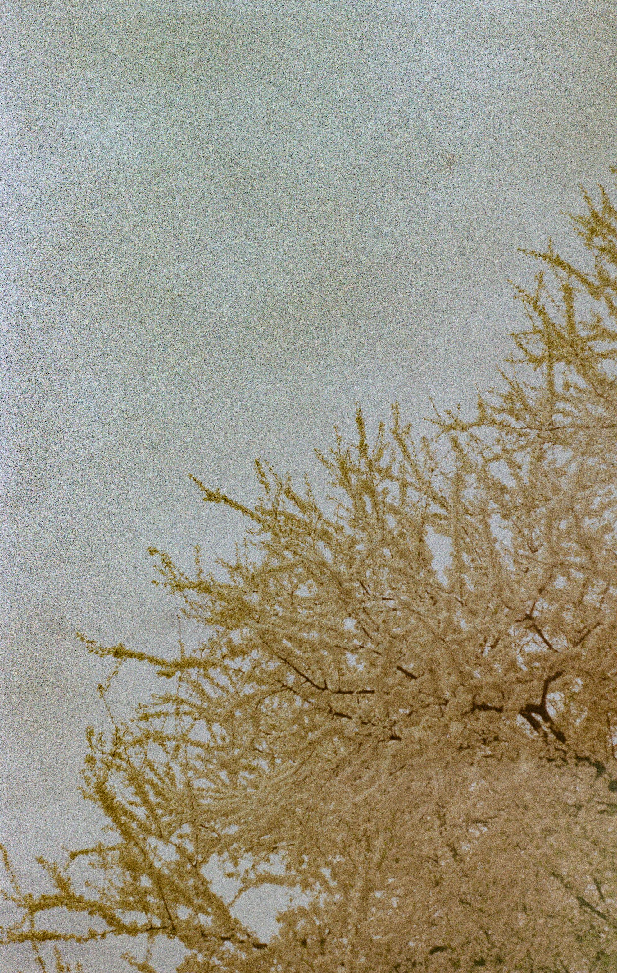 What does dirty Doris mean?