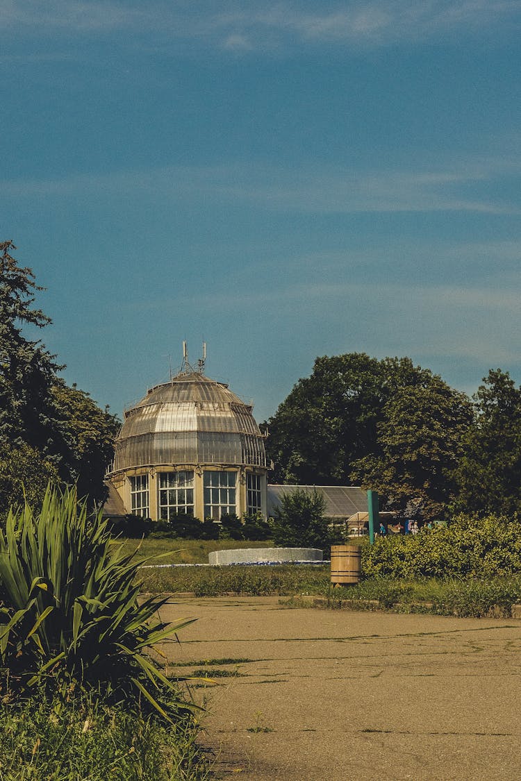 A Greenhouse Under Blue Sky