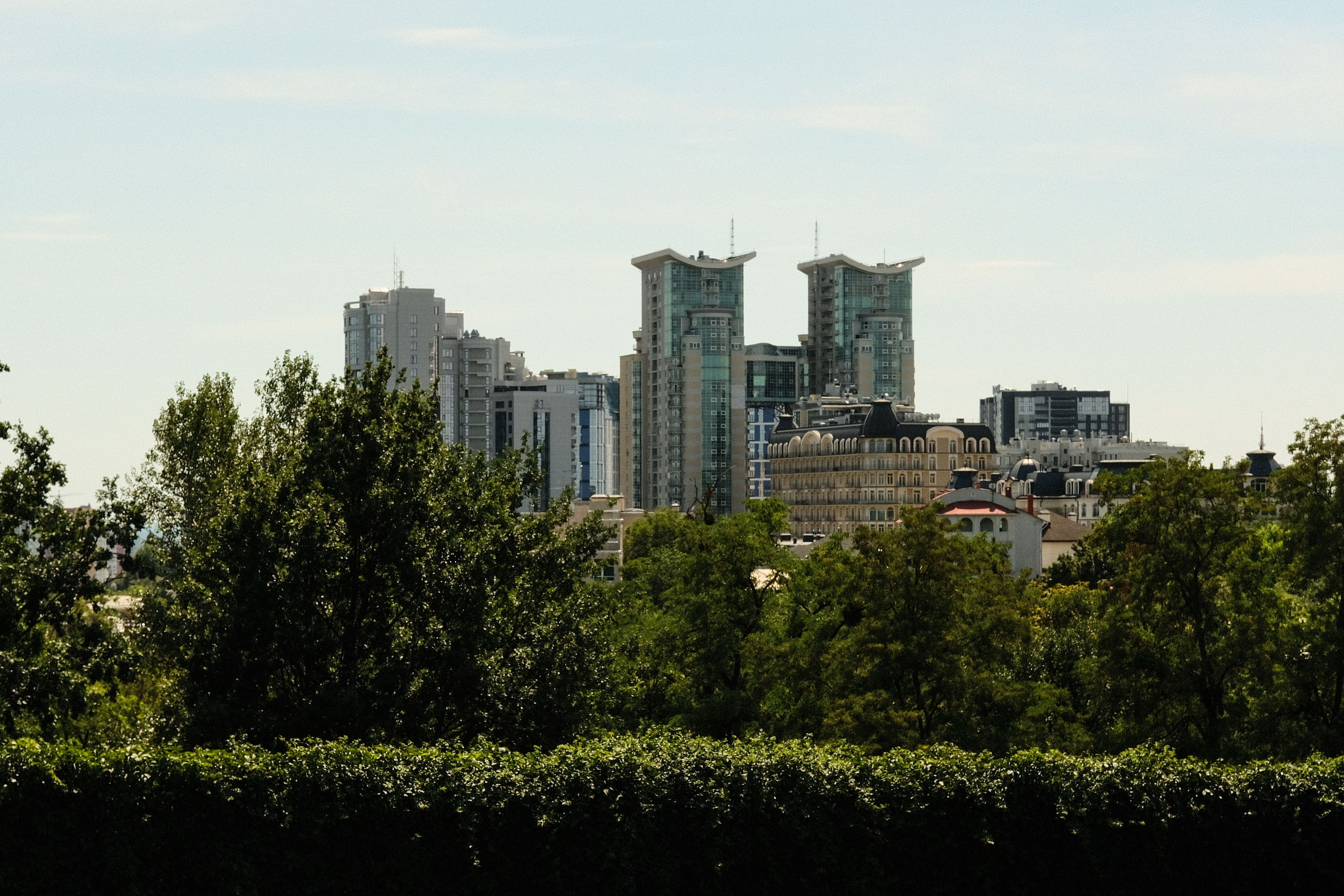 A Set of Green Trees Near Tall Buildings · Free Stock Photo