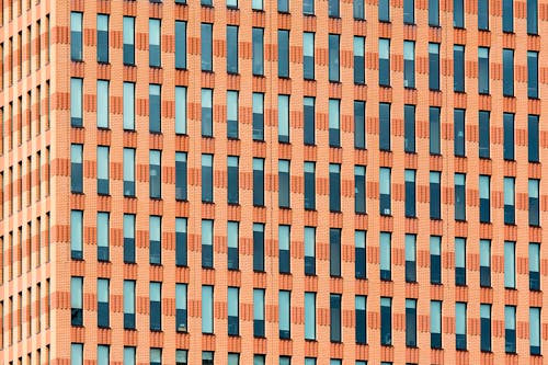 Windows of a Brown Concrete Building