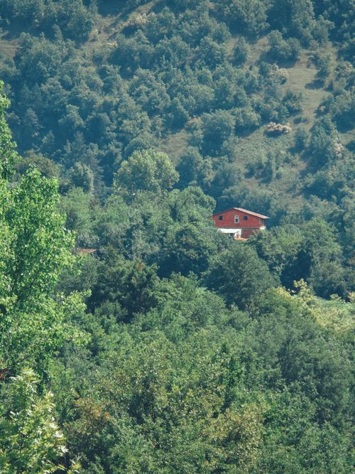 Free Aerial view of a red house nestled in a lush forest on a mountainside. Stock Photo
