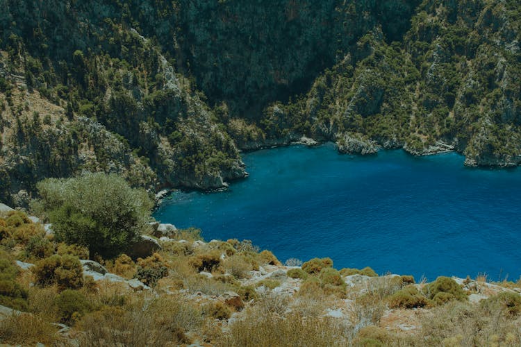 Green Trees On Brown Rocky Mountain Beside Blue Sea