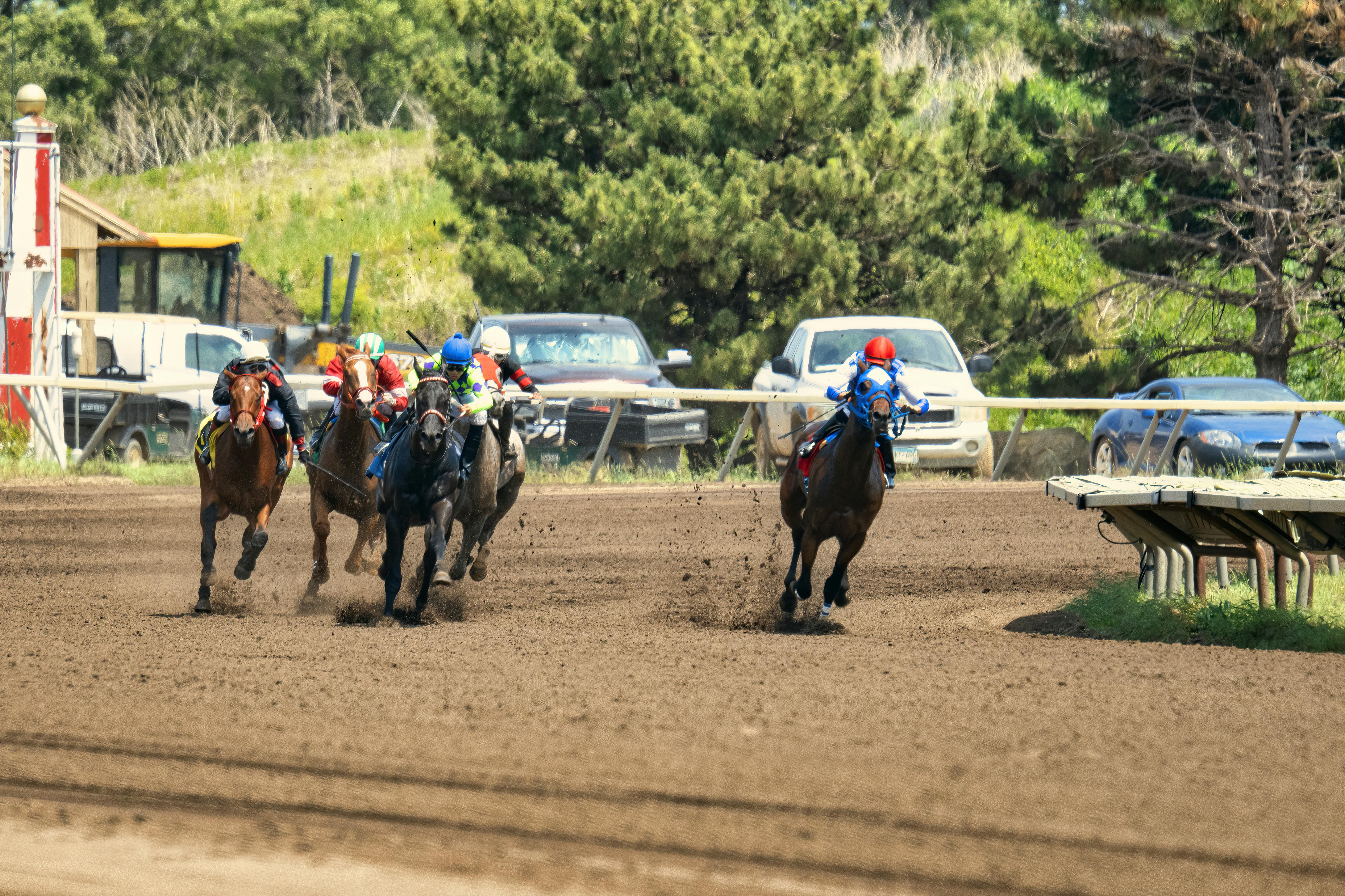 people riding horses on the field