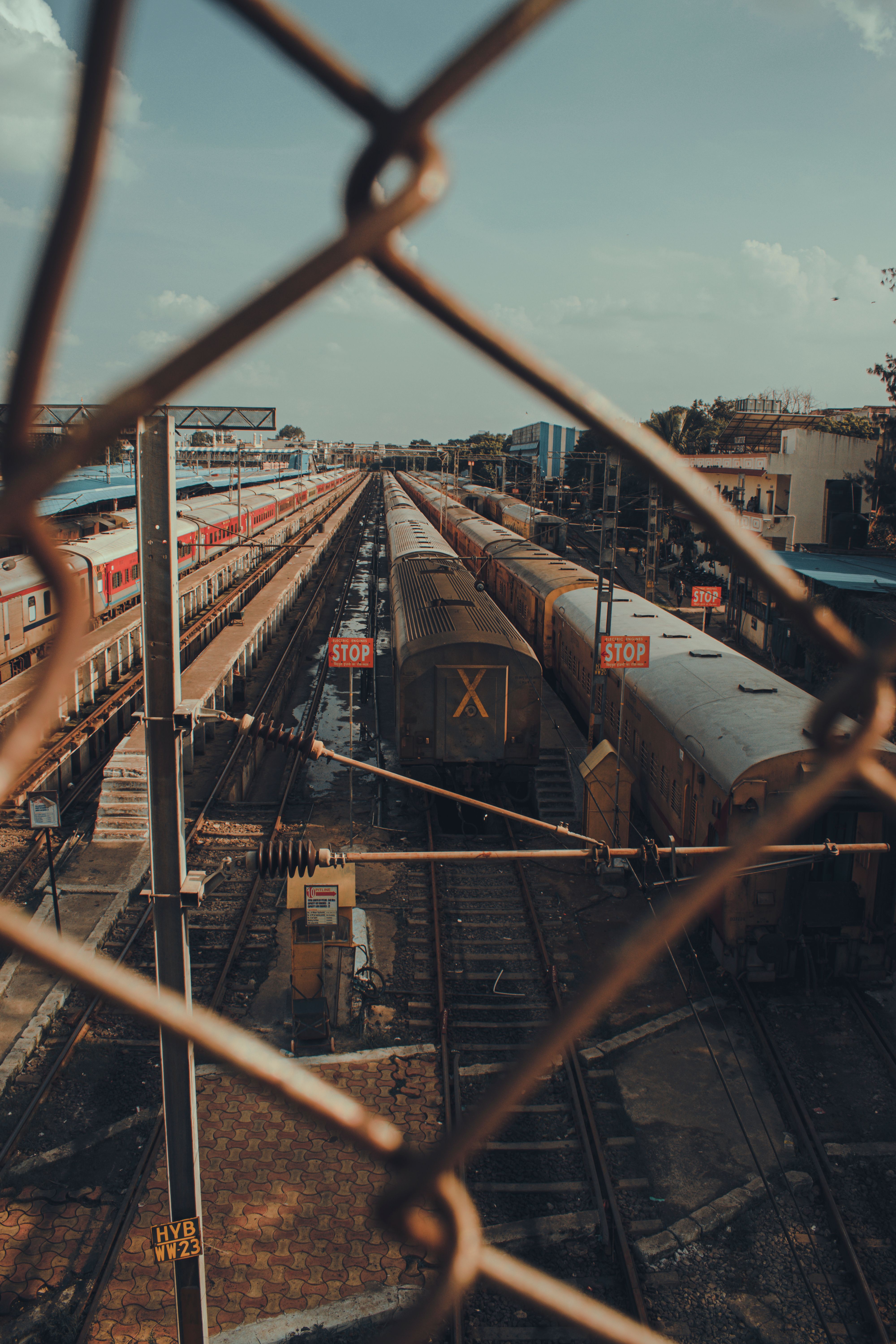 A Tracking Shot in Film: How It Moves the Story