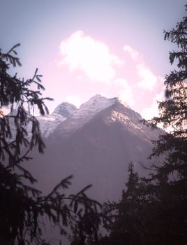 Captivating view of the Himalayan mountains with a pink-hued sky at sunrise framed by trees.