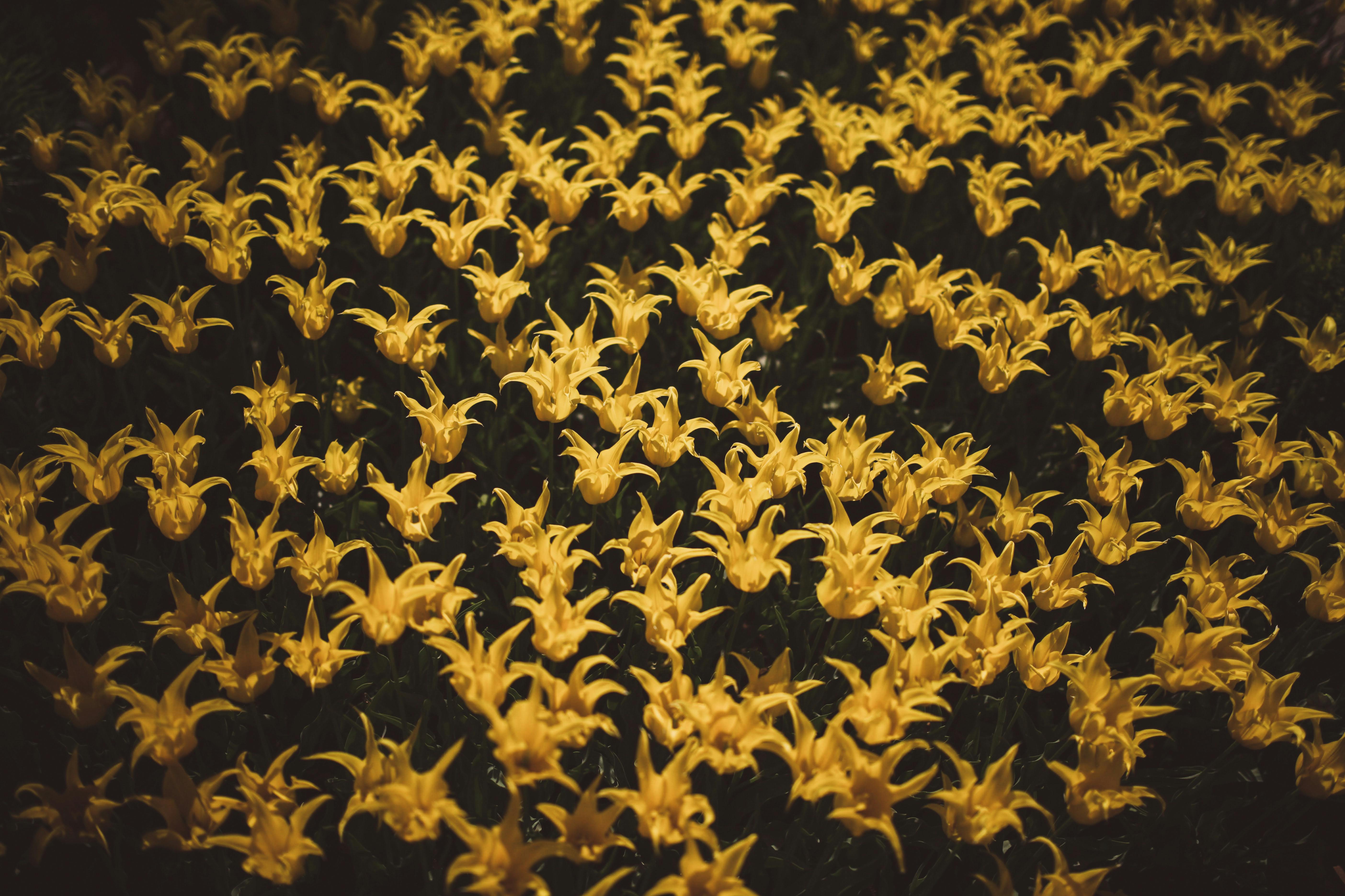 유튜브 쇼핑 채널 마케팅 전략