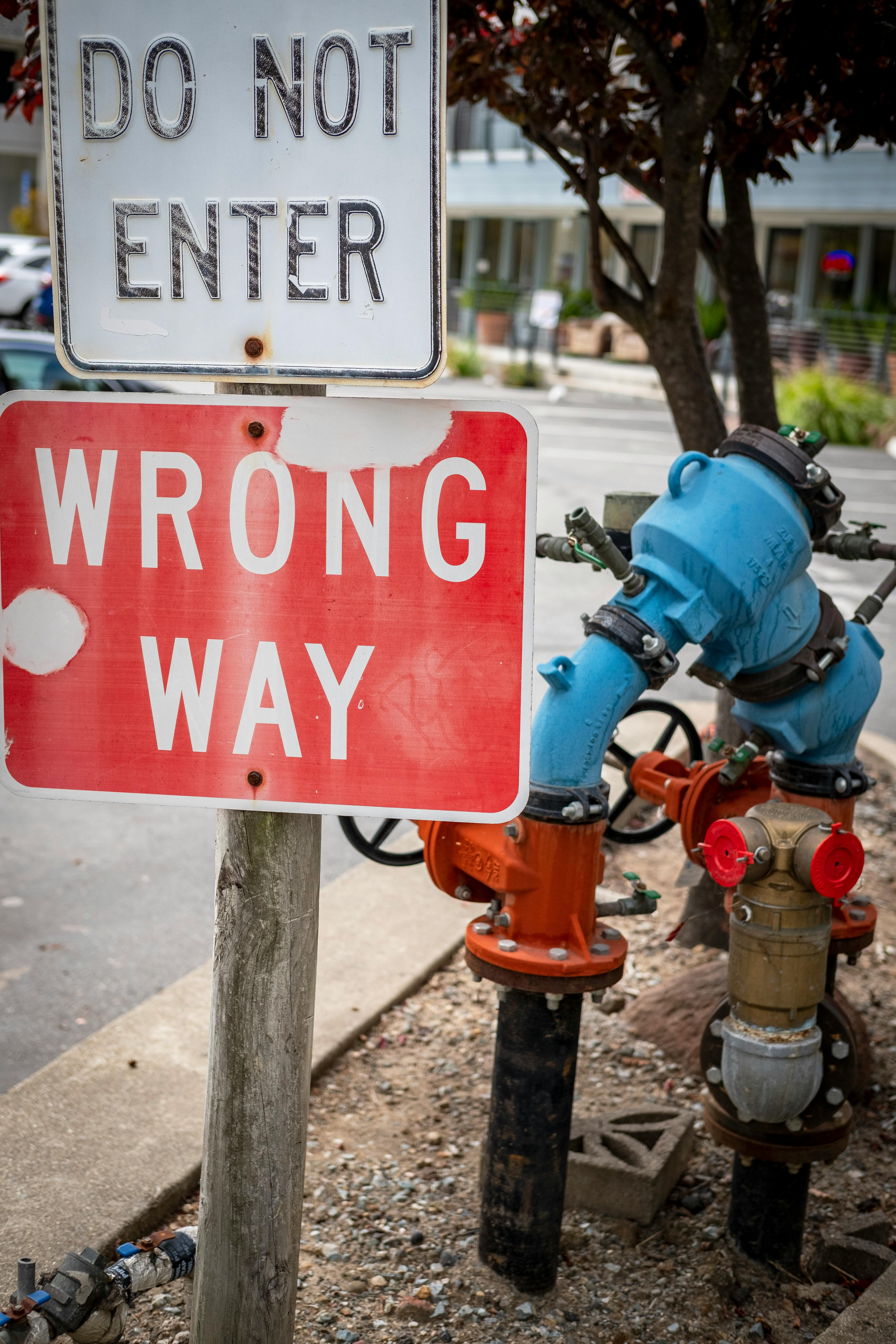 Photo by David McElwee