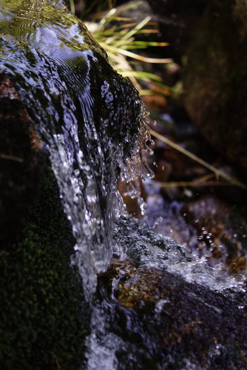 Foto stok gratis air biru, aliran sungai, sungai hutan
