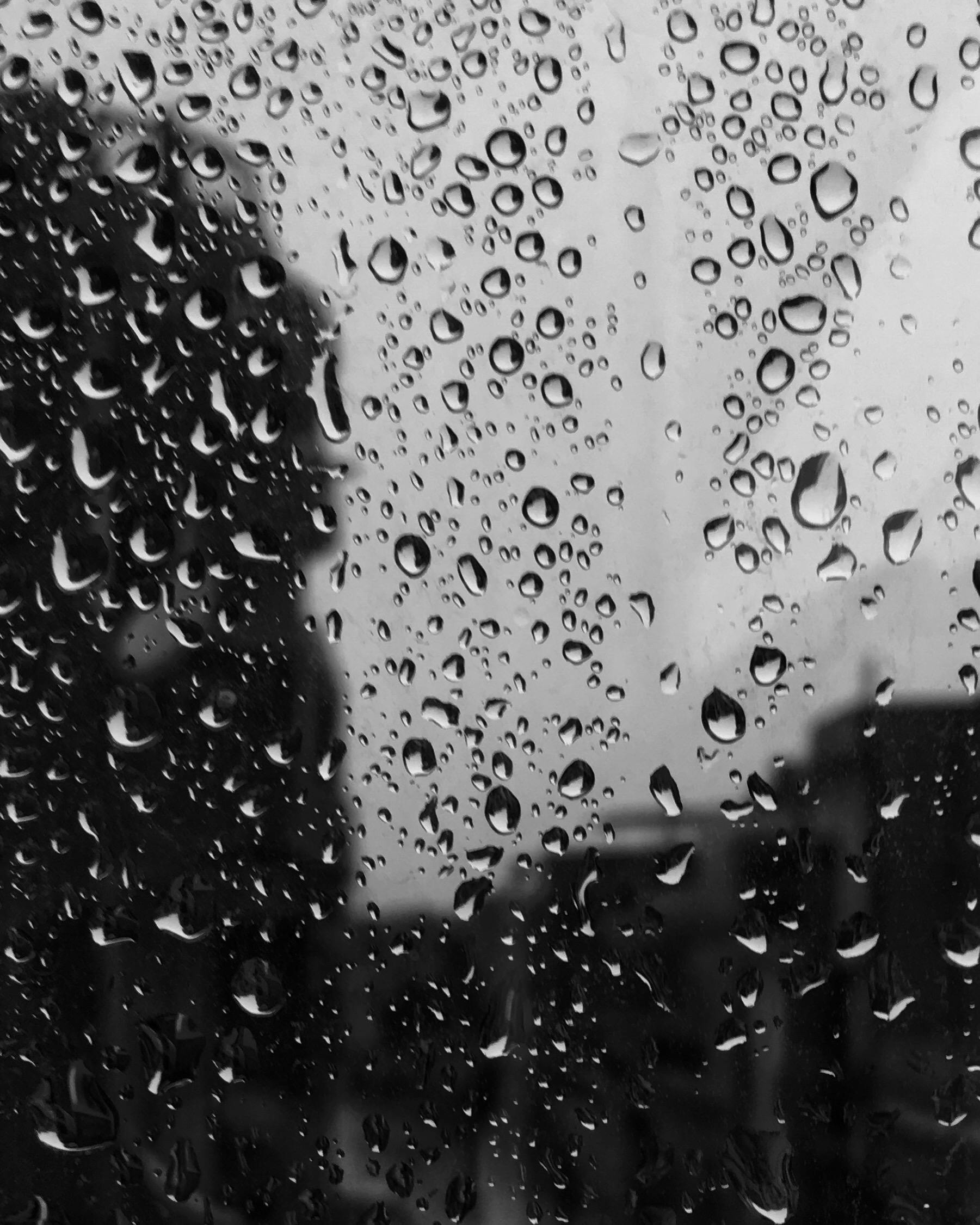Free stock photo of black and white, car window, rain drops