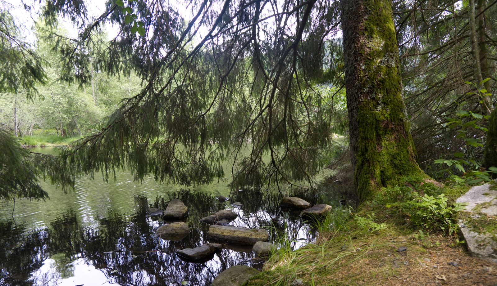 Abords de rivière
