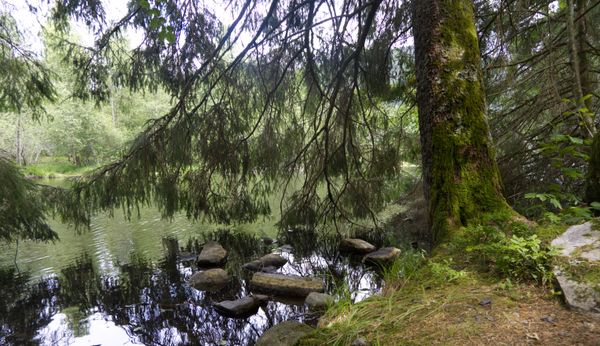 Abords de rivière