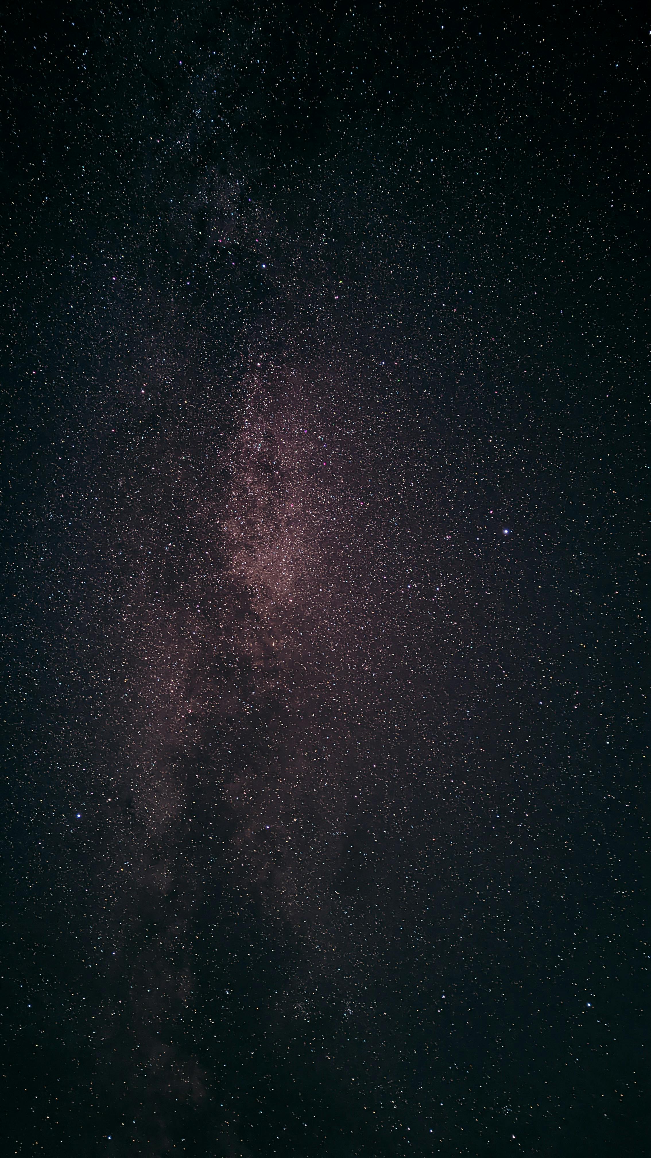 Green Trees Under Galaxy Stars · Free Stock Photo